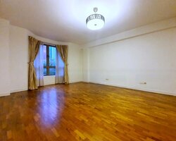 Cavenagh Lodge (D9), Apartment #456270001